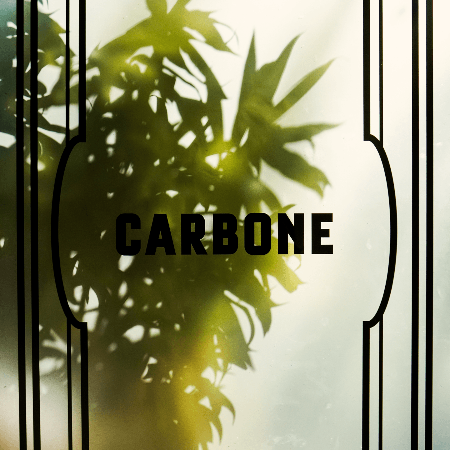 Carbone Miami Palm Tree and Logo